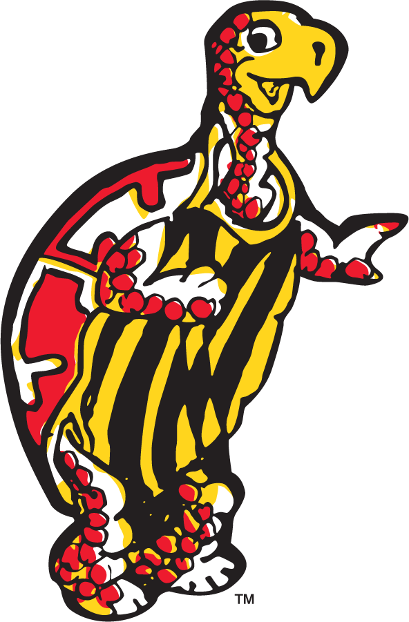 Maryland Terrapins 1953 Secondary Logo diy DTF decal sticker